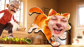 24 SAAT BOYUNCA KEDİ OLDUM 🐱🐈