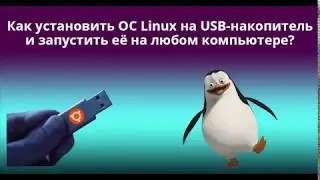 Как установить ОС Linux на USB-накопитель и запустить её на любом компьютере?