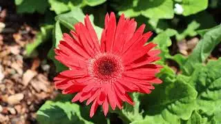 Mussoorie hill station photos