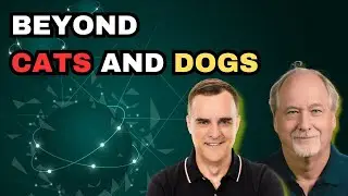 Beyond Cats and Dogs: Real-World Object-Oriented Programming Explained