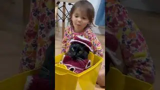 Просветлен в нашей семье пока только кот 😭😂