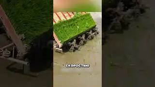 Производство любимого гарнира россиян🤯🔥😍