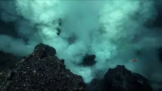 Underwater volcanoes and strange animals