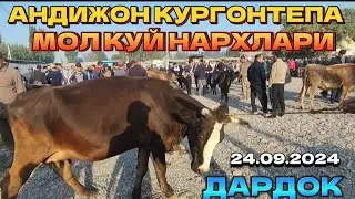 АНДИЖОН КУРГОНТЕПА ДАРДОК МОЛ КУЙ БОЗОР НАРХЛАРИ 24.09.2024