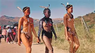 Umemulo Kwa Zondi 