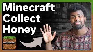 How To Collect Honey In Minecraft On The PS5