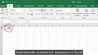 Excel hulp: kolombreedte automatische breedte