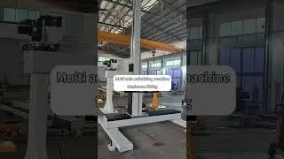 Multi axis palletizing machine Maximum 500kg