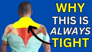 Why Your Neck and Shoulders Are Always Tight – And How to Relax Them