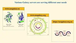 Enhancing the JupyterLab Notebook to Overcome Bioinformatics Analysis Challenges with GiN