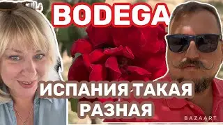 Испания  Винодельня Monovar (2024) Бодега-тайм. Испанские ценности  