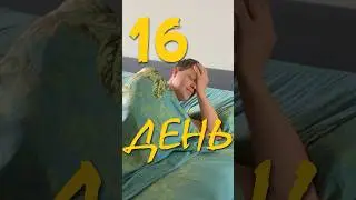 День 16. Рекордные заказы на Озон и Вб #бизнеснаwildberries #vlog