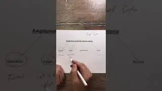 Ажрашкан аел билан турмуш курушII Умар Қори II