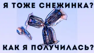 Тайна снежинок (Veritasium)