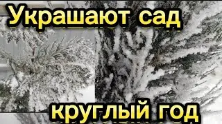 ❄Сегодня особенно сказочно... ❄❄❄