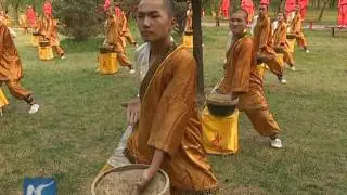 Iron Hand Kung Fu that can smash muscles and break bones