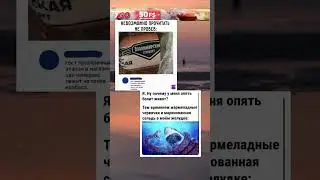 Подборка мемов #memes #мем #мемы #funny #mellstroy #меме #fyp