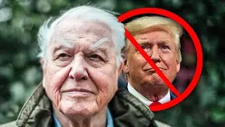 David Attenborough is DISGUSTED with boomers.