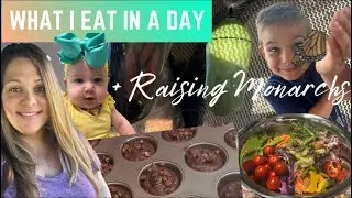 What I Eat in a Day Whole Food Plant Based | Raising Monarchs