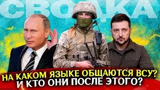 Язык боевых действий. Сводка новостей 8 ноября