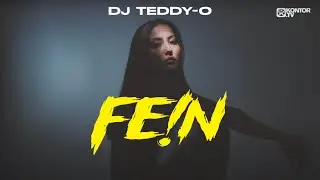 DJ Teddy-O - FE!N