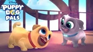 New Series! | Puppy Dog Pals | Disney Junior