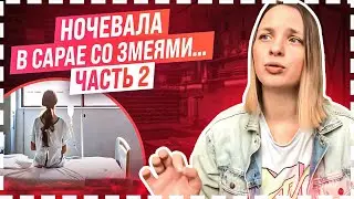 ИСТОРИЯ РПП: слушаем и разбираемся вместе!