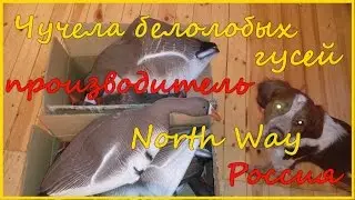 Чучела белолобых гусей производства компании North Way