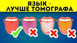 Эффективная диагностика дома – сигналы языка