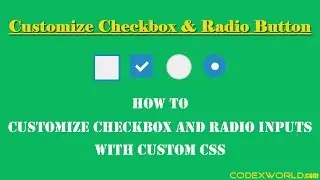 Customize Checkbox and Radio Inputs with CSS