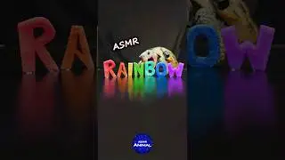 Satisfying ASMR Eating Rainbow Food Mukbang 🌈 Turtle Tortoise