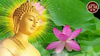 PHẬT DẠY CÁCH ĐOẠN TRỪ LÒNG THAM VÀ CÓ  ĐỨC BỐ THÍ ĐỂ CUỘC ĐỜI LUÔN ĐƯỢC GIÀU SANG , HẠNH PHÚC !
