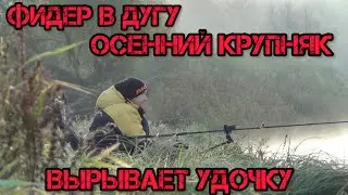 ФИДЕР В ДУГУ ОСЕННИЙ КРУПНЯК ВЫРЫВАЕТ ФИДЕР ИЗ РУК