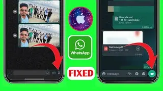 Как исправить опцию видеосообщения WhatsApp, которая не отображается на iPhone [2023]