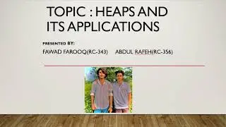 WHAT ARE HEAPS  PRESENTED BY FAWAD AND ABDUL RAFEH