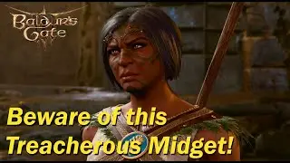 What Happens When You Tell Nettie You Have no Symptoms - Baldur's Gate 3