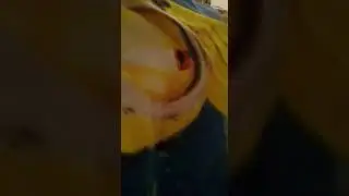 Кызганчы жаным мени башкалардан