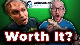 AnimalConUSA 2023 Wasn't Worth Filming | My Controversial Take!