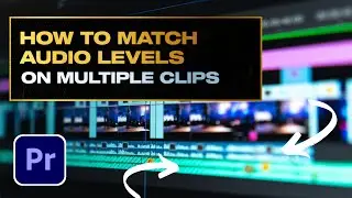 How to Match Audio Levels on Multiple Clips in Premiere Pro 2024