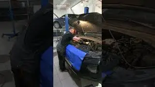 Звук растянутой цепи ГРМ от шестерни ТНВД 