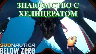 Краб и Хелицерат - Subnautica Below Zero прохождение (ч.11)