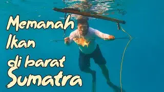 Berburu ikan di barat Sumatra.