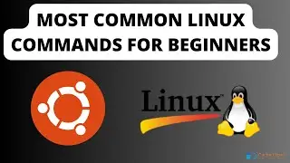 Basic Linux Commands for Beginners