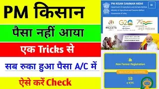 PM kisan का पैसा नहीं आया है तो क्या करें | PM kisan new update | pm kisan Samman nidhi 2024
