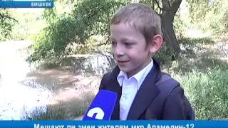 Мешают ли змеи жителям мкр Аламедин-1?