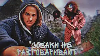 "СОБАКИ НЕ РАЗГОВАРИВАЮТ! СОБАКИ ТОЛЬКО ГАВЧУТ!" @max.vashchenko @vashchenko_live
