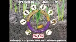 Лекция № 6. Защита кукурузы