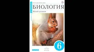 § 1 Клетка - живая система