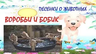 Воробьи и Бобик Песенки про животных Котенок, Щенок, Пони