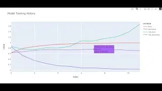 TensorFlow Bert Guided Project Classification DistilBert NLP Python Tokenizer